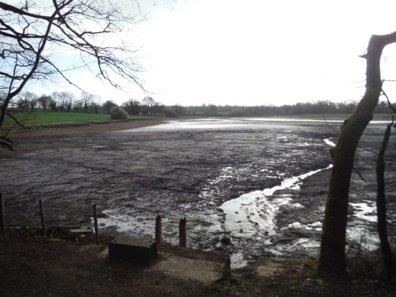 Ponton bois et pelle en bois pour un étang des Deux-Sèvres